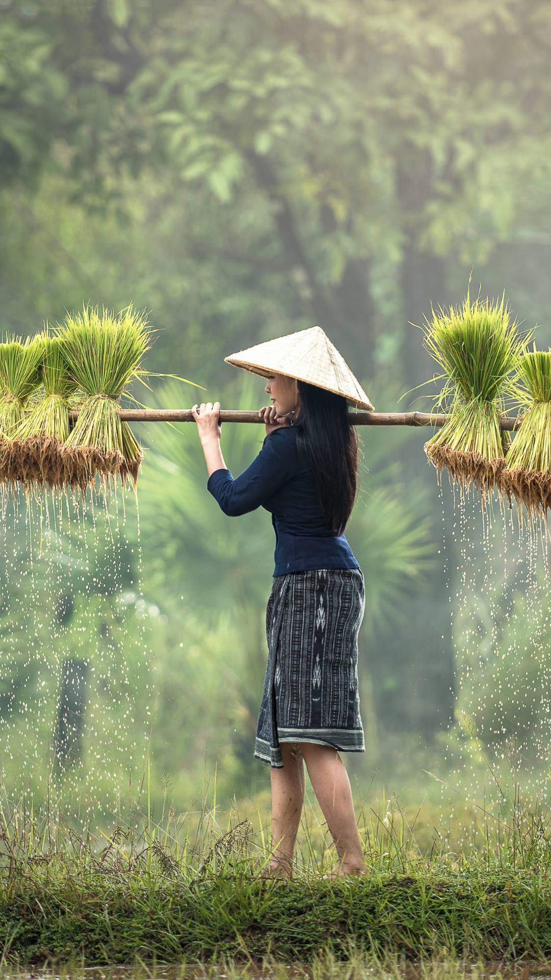 Femme qui travaille dans une rizière